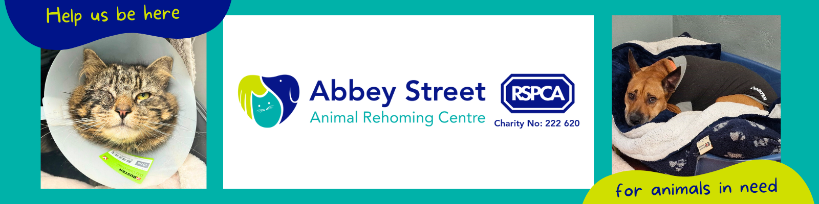 RSPCA Derby