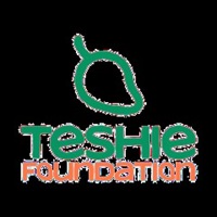 Teshie Foundation
